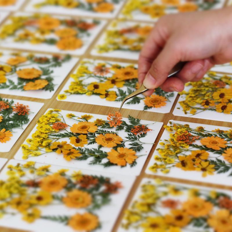 Dried Flowers Real Natural Pla - Home Decor Handicraft recension och pris