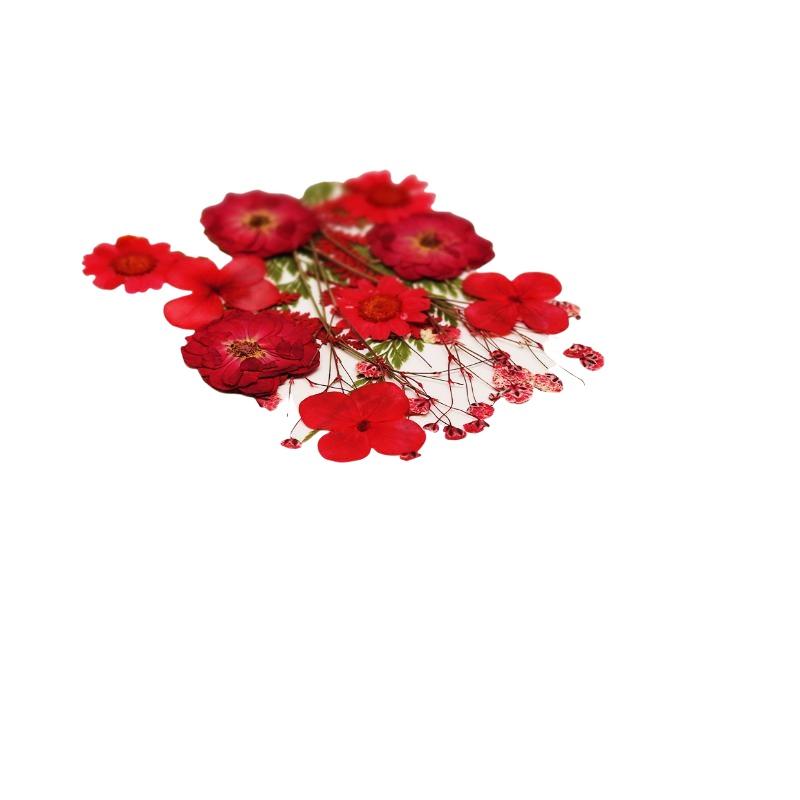Dried Flowers Real Natural Pla - Home Decor Handicraft recension och pris