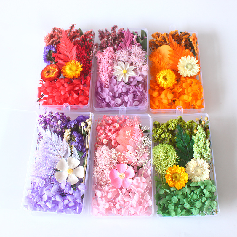 Box Packed Dry Flower Eternal  - Home Decor Handicraft recension och pris