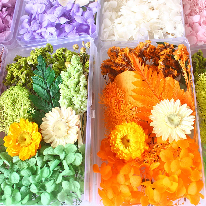 Box Packed Dry Flower Eternal  - Home Decor Handicraft recension och pris
